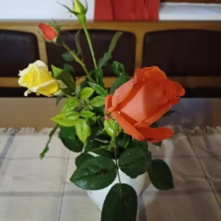 Zanati Apartmannház Apartamento *