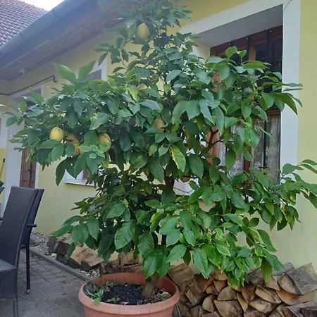 Διαμέρισμα Zanati Apartmannhaz