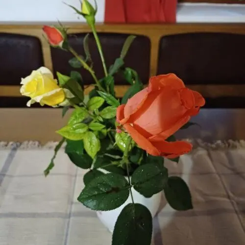 Zanati Apartmannhaz Διαμέρισμα *