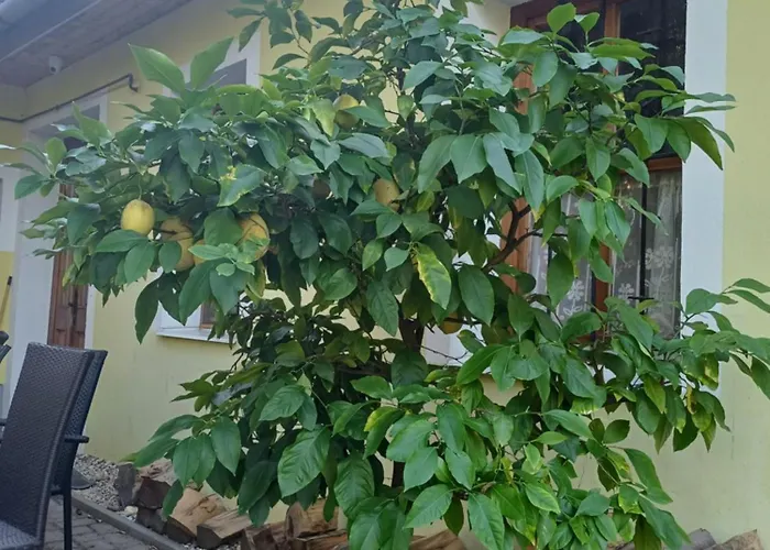 Διαμέρισμα Zanati Apartmannhaz